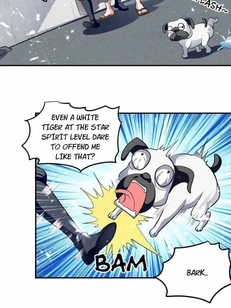 Super Son-in-law In Another World [ALL CHAPTERS] Chapter 77 9